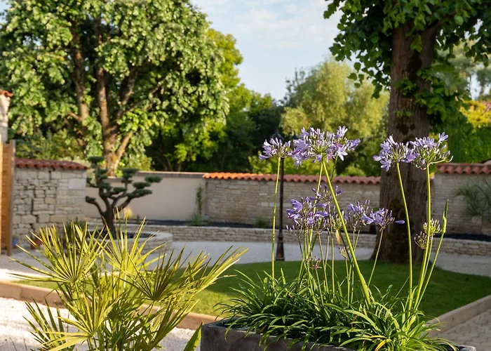 Domaine De L'angélique Arçais